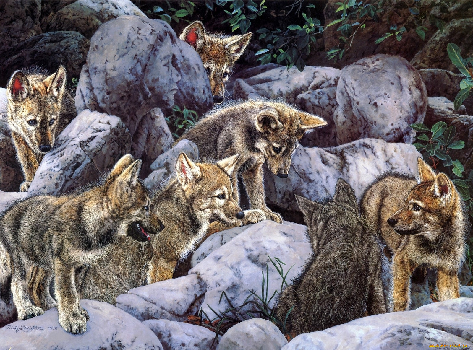 Judy Larson художница волки